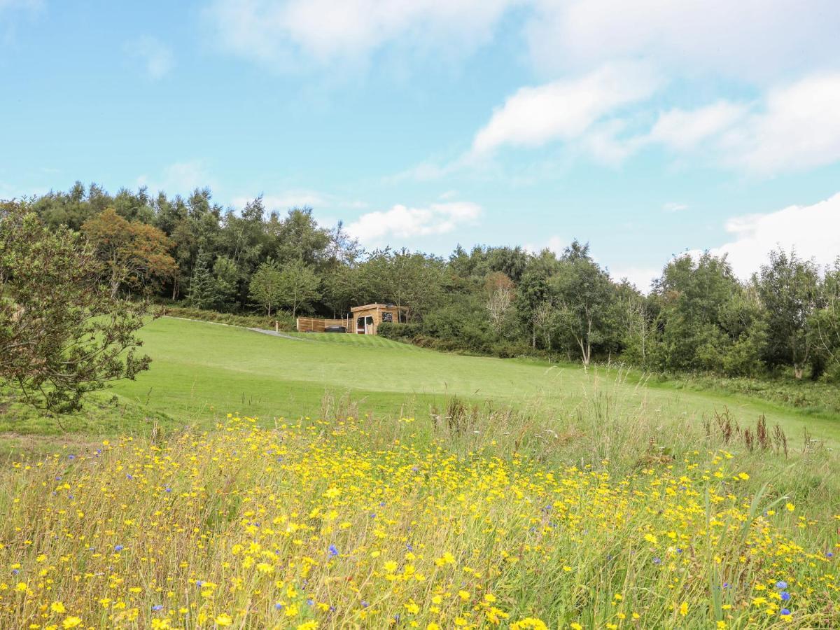 Villa Woodland Pod Corwen Exterior foto